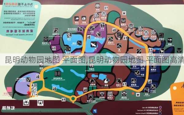 昆明动物园地图 平面图,昆明动物园地图 平面图高清