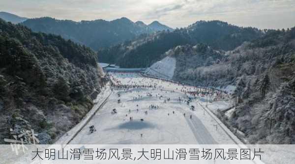 大明山滑雪场风景,大明山滑雪场风景图片