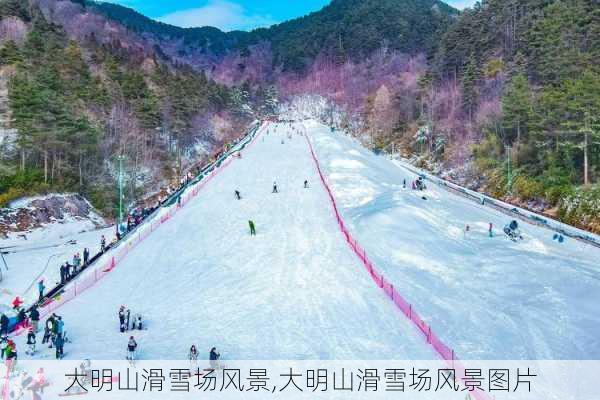 大明山滑雪场风景,大明山滑雪场风景图片