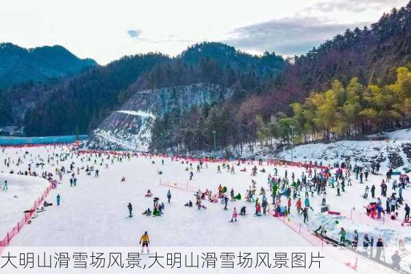 大明山滑雪场风景,大明山滑雪场风景图片