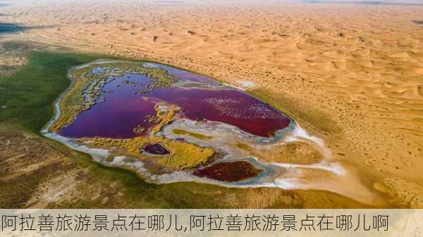 阿拉善旅游景点在哪儿,阿拉善旅游景点在哪儿啊