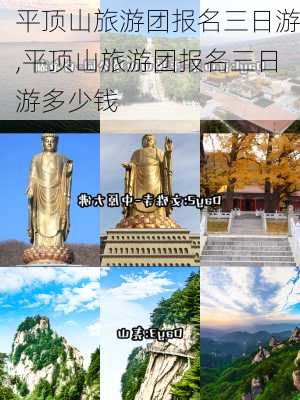 平顶山旅游团报名三日游,平顶山旅游团报名三日游多少钱