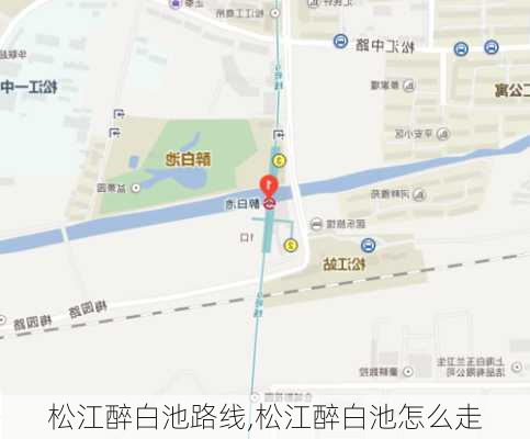 松江醉白池路线,松江醉白池怎么走