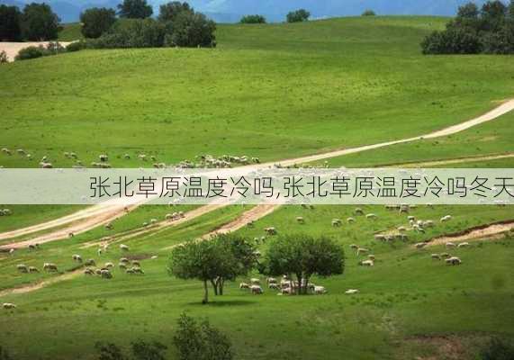 张北草原温度冷吗,张北草原温度冷吗冬天