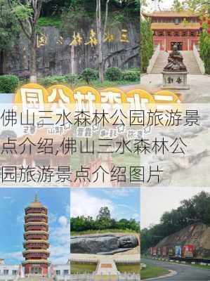 佛山三水森林公园旅游景点介绍,佛山三水森林公园旅游景点介绍图片