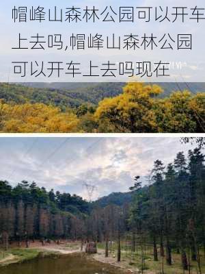 帽峰山森林公园可以开车上去吗,帽峰山森林公园可以开车上去吗现在