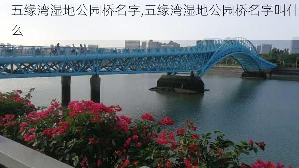 五缘湾湿地公园桥名字,五缘湾湿地公园桥名字叫什么