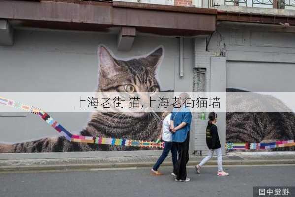 上海老街 猫,上海老街猫墙