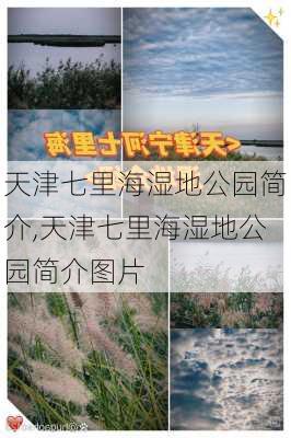 天津七里海湿地公园简介,天津七里海湿地公园简介图片