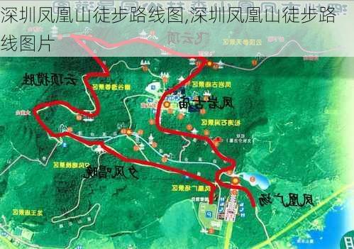 深圳凤凰山徒步路线图,深圳凤凰山徒步路线图片