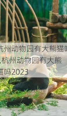 杭州动物园有大熊猫吗?,杭州动物园有大熊猫吗2023