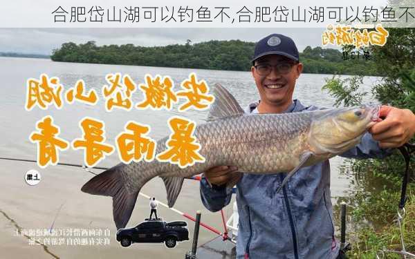 合肥岱山湖可以钓鱼不,合肥岱山湖可以钓鱼不