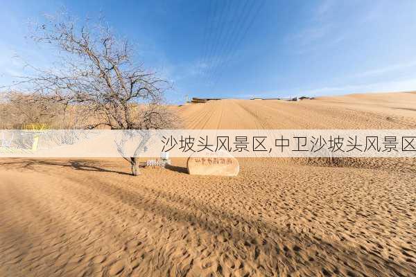 沙坡头风景区,中卫沙坡头风景区