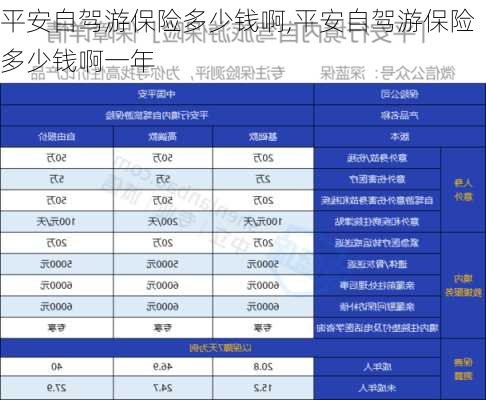 平安自驾游保险多少钱啊,平安自驾游保险多少钱啊一年