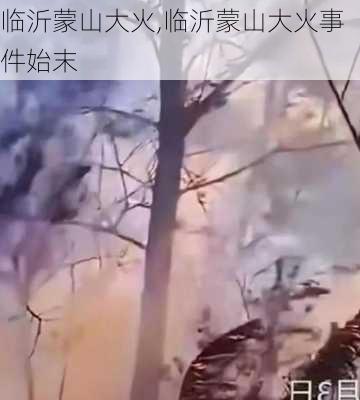 临沂蒙山大火,临沂蒙山大火事件始末