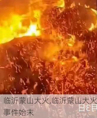 临沂蒙山大火,临沂蒙山大火事件始末