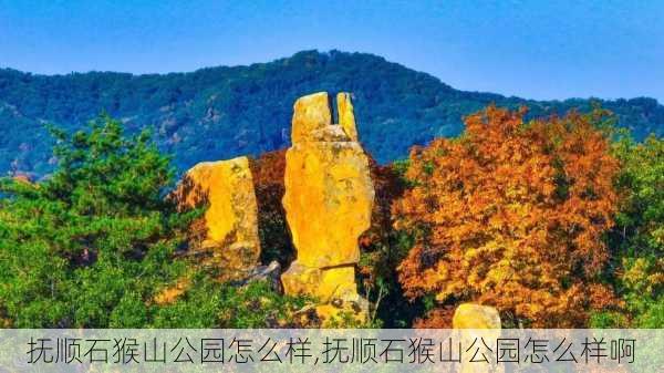 抚顺石猴山公园怎么样,抚顺石猴山公园怎么样啊