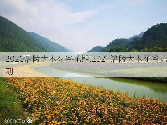 2020涪陵大木花谷花期,2021涪陵大木花谷花期