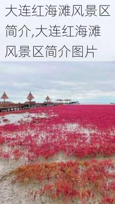 大连红海滩风景区简介,大连红海滩风景区简介图片