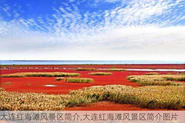 大连红海滩风景区简介,大连红海滩风景区简介图片