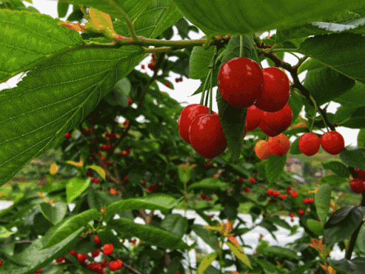 昆明安宁温泉山谷6期最新动态,昆明安宁温泉山谷6期最新动态消息