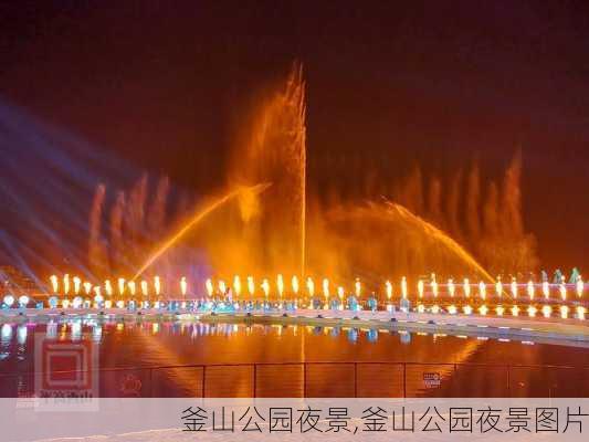 釜山公园夜景,釜山公园夜景图片