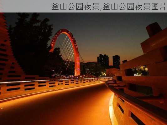 釜山公园夜景,釜山公园夜景图片