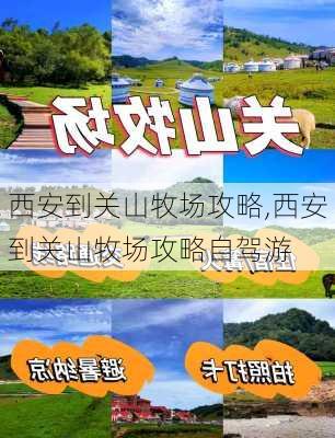 西安到关山牧场攻略,西安到关山牧场攻略自驾游