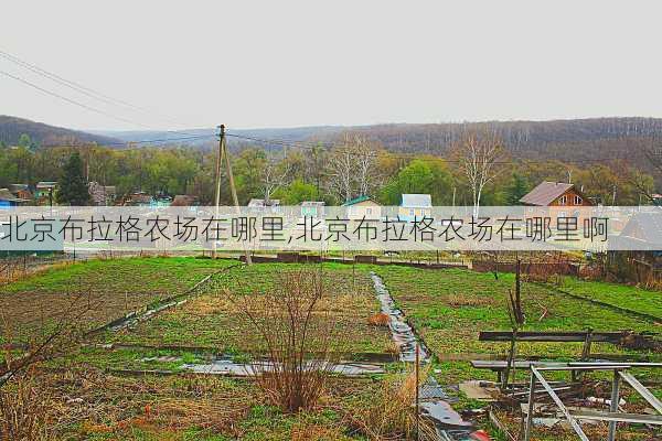 北京布拉格农场在哪里,北京布拉格农场在哪里啊