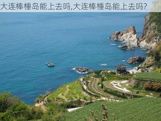 大连棒棰岛能上去吗,大连棒棰岛能上去吗?