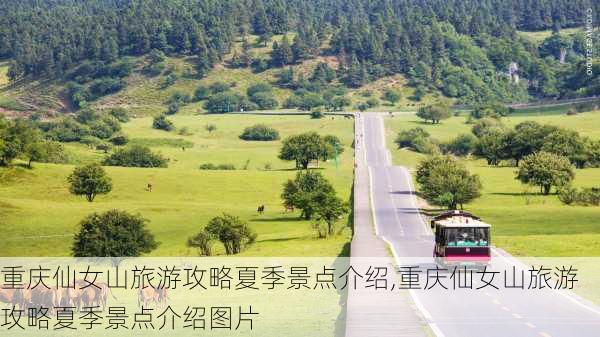 重庆仙女山旅游攻略夏季景点介绍,重庆仙女山旅游攻略夏季景点介绍图片