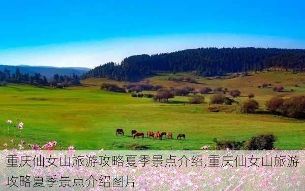 重庆仙女山旅游攻略夏季景点介绍,重庆仙女山旅游攻略夏季景点介绍图片