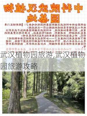 武汉植物园旅游,武汉植物园旅游攻略