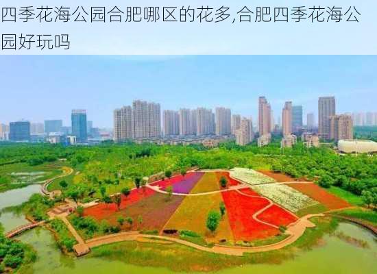 四季花海公园合肥哪区的花多,合肥四季花海公园好玩吗