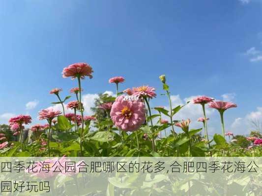 四季花海公园合肥哪区的花多,合肥四季花海公园好玩吗