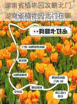 湖南省植物园攻略北门,湖南省植物园北门在哪