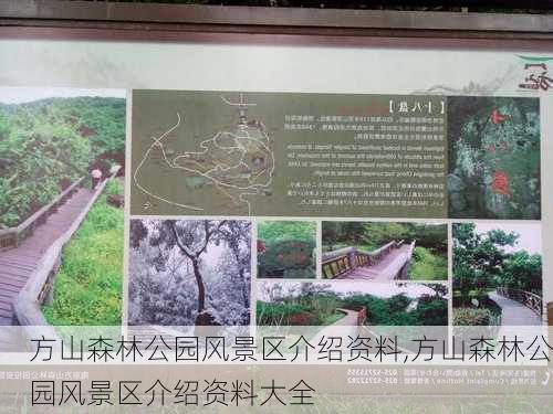 方山森林公园风景区介绍资料,方山森林公园风景区介绍资料大全