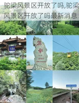 驼梁风景区开放了吗,驼梁风景区开放了吗最新消息