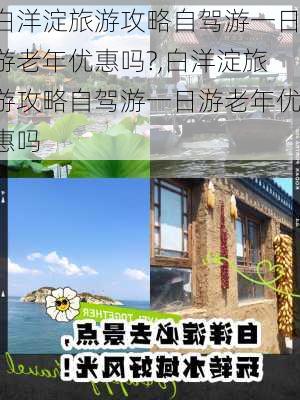 白洋淀旅游攻略自驾游一日游老年优惠吗?,白洋淀旅游攻略自驾游一日游老年优惠吗