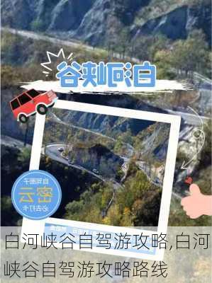 白河峡谷自驾游攻略,白河峡谷自驾游攻略路线