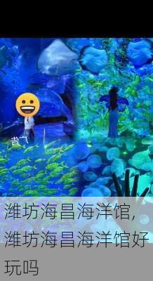 潍坊海昌海洋馆,潍坊海昌海洋馆好玩吗