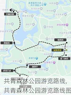 共青森林公园游览路线,共青森林公园游览路线图