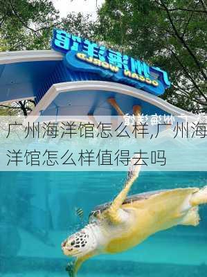 广州海洋馆怎么样,广州海洋馆怎么样值得去吗